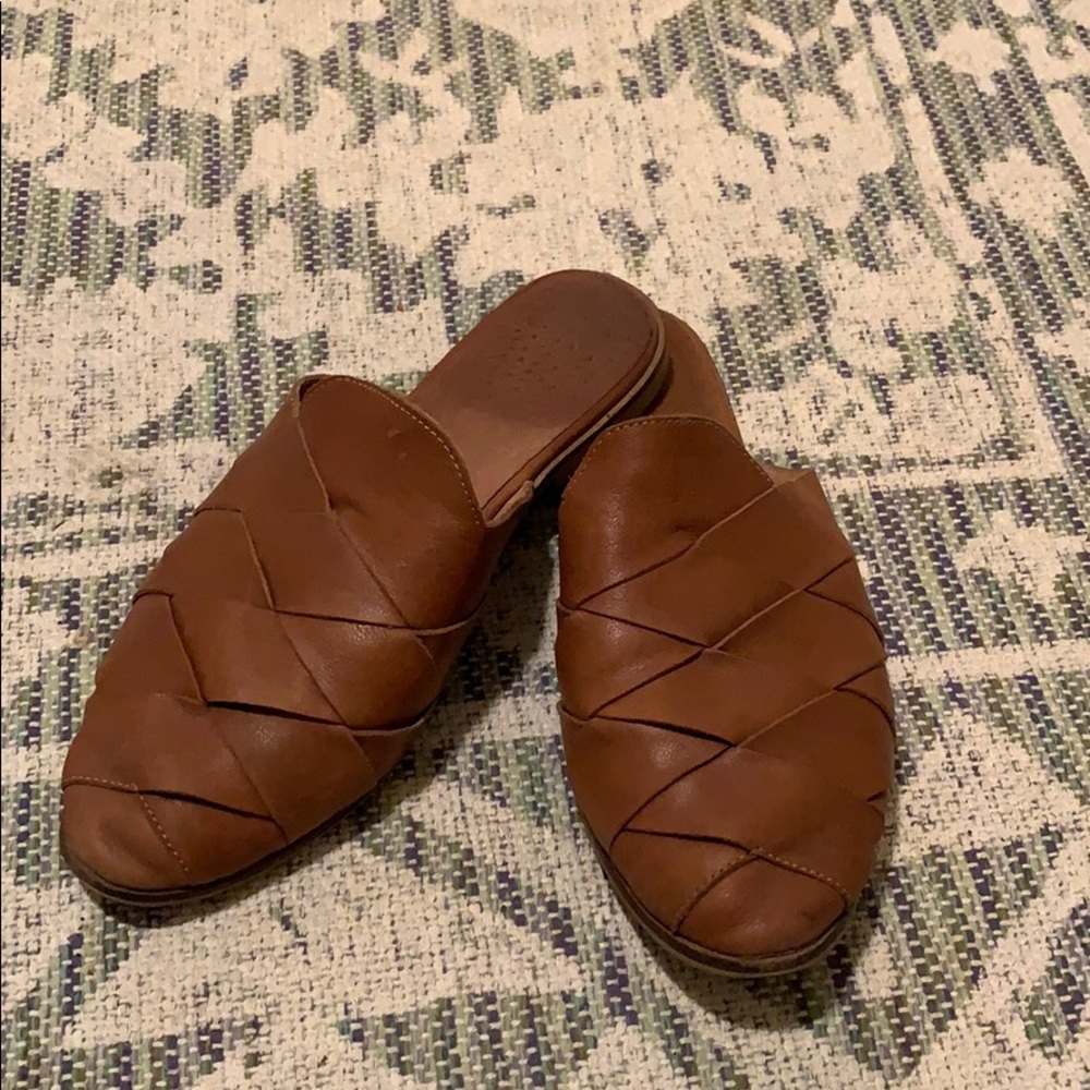 Seychelles Survival Mules